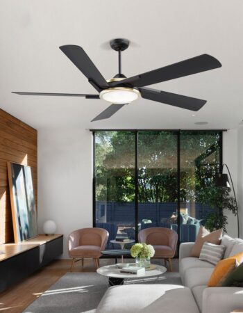 ceiling-fan-01