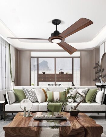 ceiling-fan-02