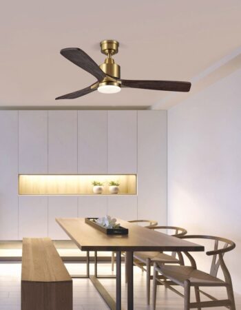 ceiling-fan-09
